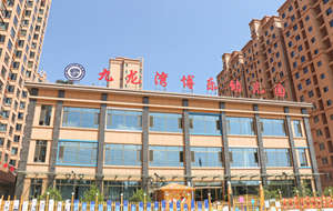 PG模拟器项目丨合阳县九龙湾博乐幼儿园
