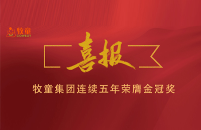 集团喜报｜见证品质—PG模拟器连续五年荣获金冠奖